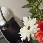 Margarida 아파트