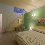 Margarida
